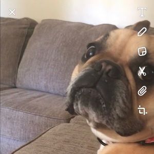 Meet your Posher, Eli